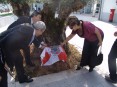 Cerimónia de certificação da oliveira em frente à Câmara Municipal