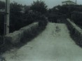 Ponte romana da Pica, Cucujães (Anos 70)