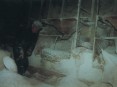 Moleiro no interior do moinho, Ul (Anos 90)