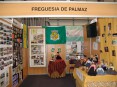 Mostra social e de voluntariado do concelho de Oliveira de Azemis