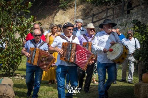 Oliveira de Azemis