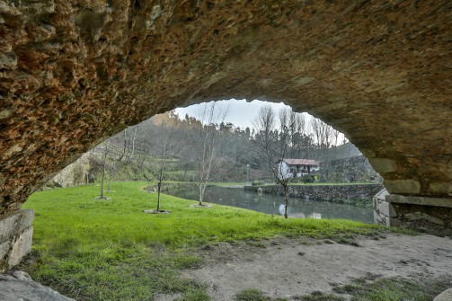 Oliveira de Azemis