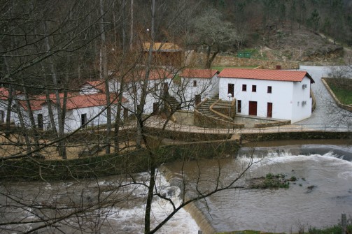 Oliveira de Azemis