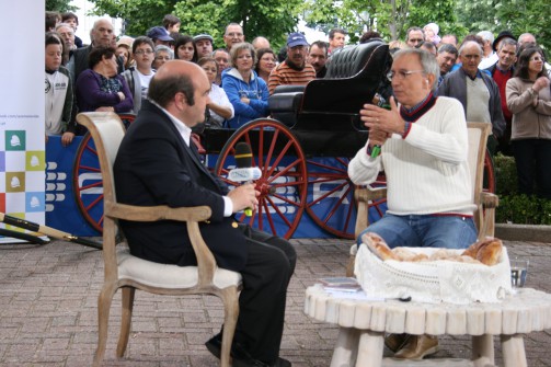 Oliveira de Azemis