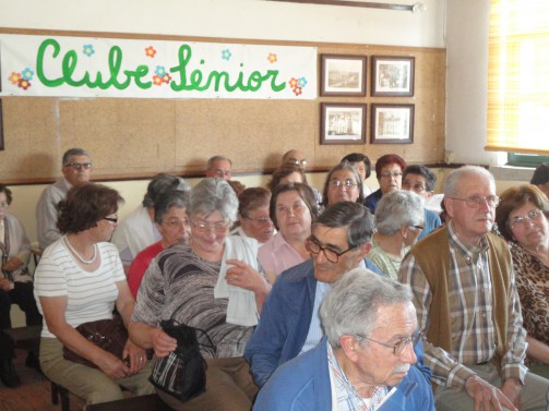 Oliveira de Azemis