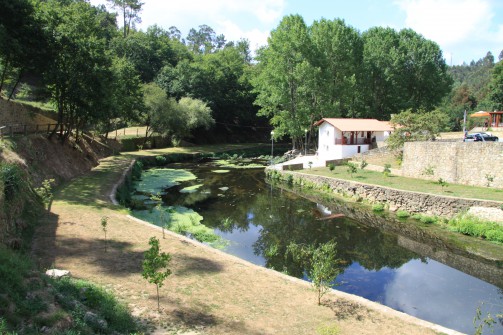 Oliveira de Azemis