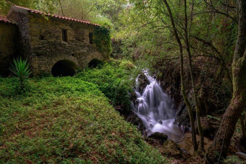 Oliveira de Azemis