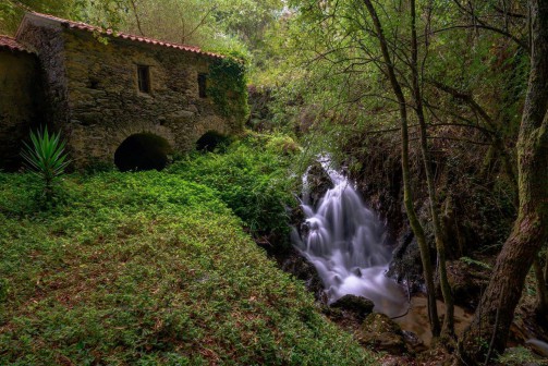 Oliveira de Azemis