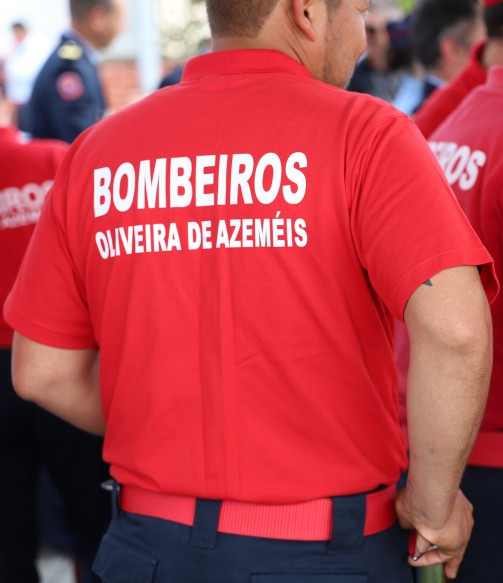 Oliveira de Azemis