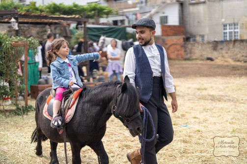 Oliveira de Azemis
