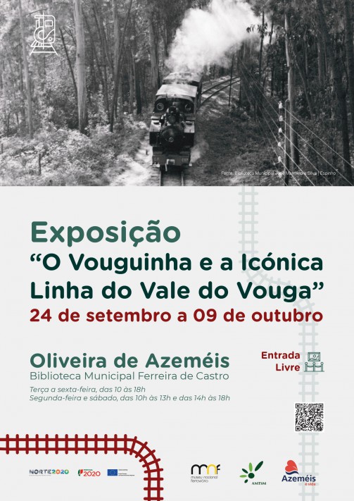 Oliveira de Azemis