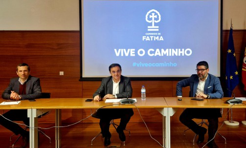 Oliveira de Azemis
