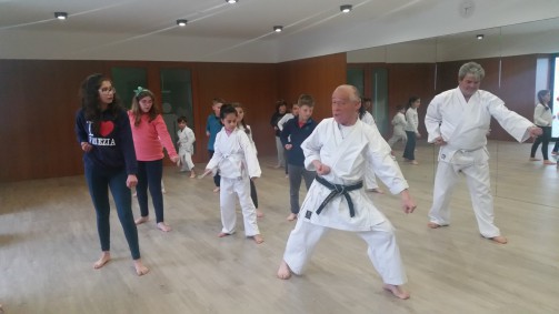 Oliveira de Azemis