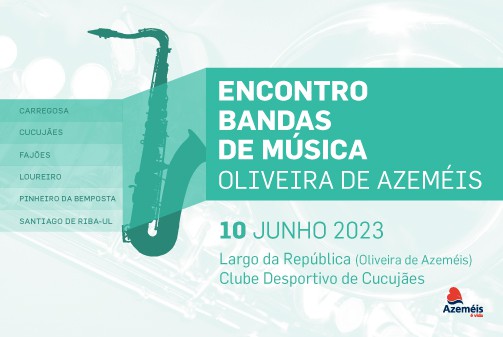 Oliveira de Azemis