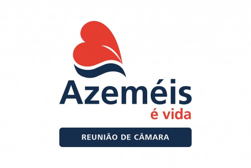 Oliveira de Azemis