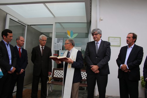 Oliveira de Azemis
