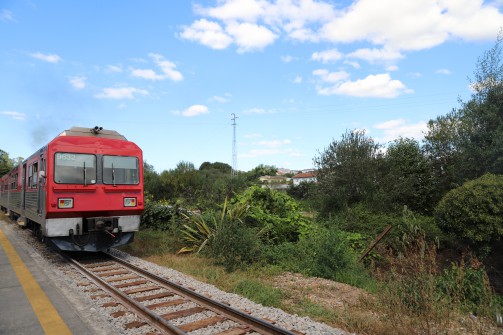 Oliveira de Azemis