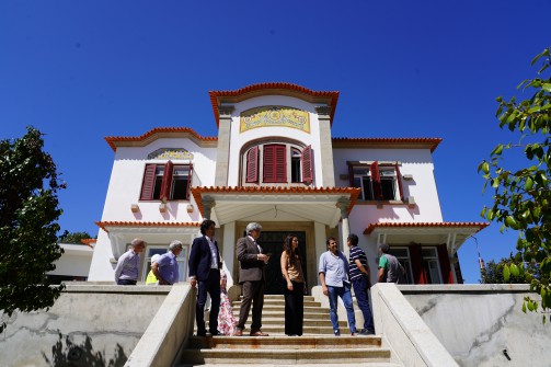 Oliveira de Azemis