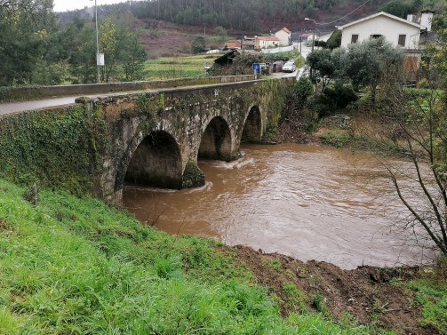 Oliveira de Azemis