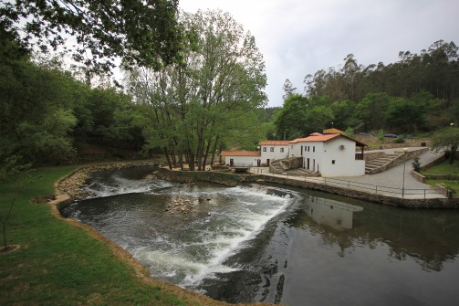 Oliveira de Azemis